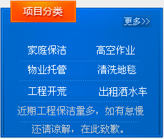 兰陵保洁项目